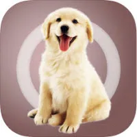 ˹2025ٷ°汾v2.0.3 Ѱ