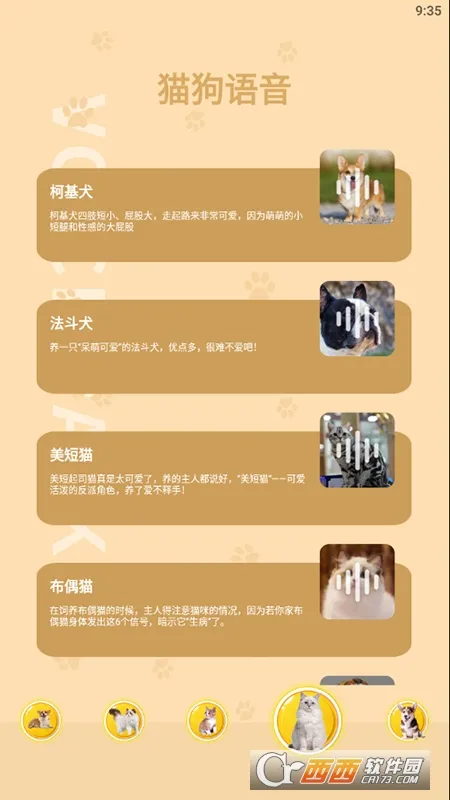 ˹2025ٷ°汾v2.0.3 Ѱ