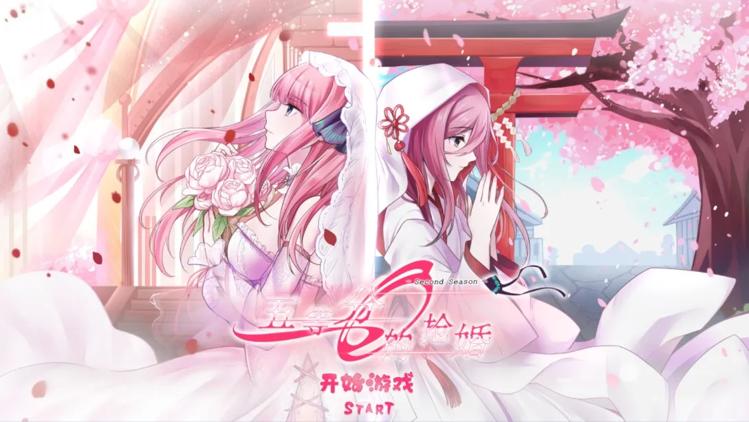 Nino project()v1.0 ֻ