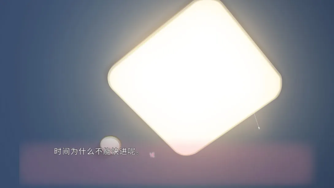 Nino project()v1.0 ֻ