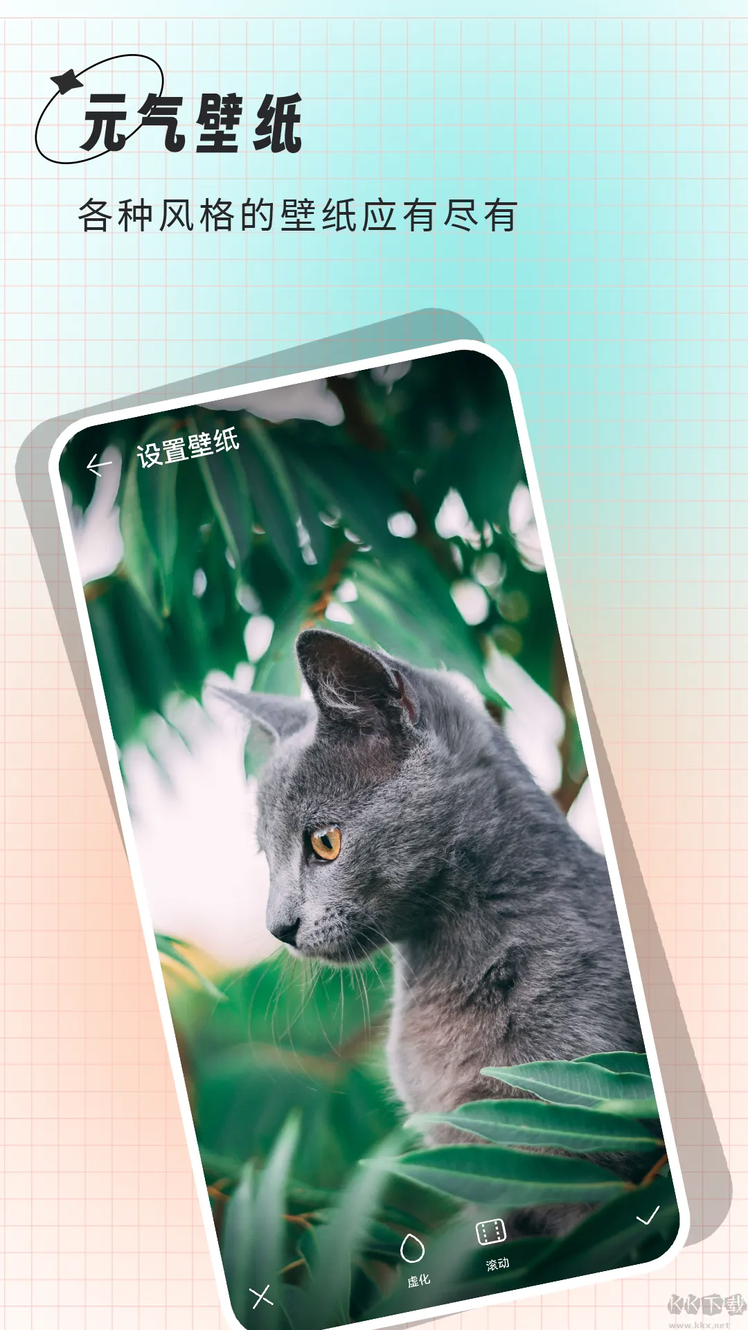 壁纸大全最新手机版 壁纸大全最新手机版