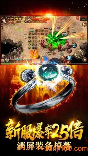 龙之纹章最新手机版截图3