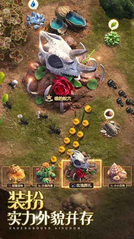 ССϹ(Ӫ)v1.59.0 ֻ