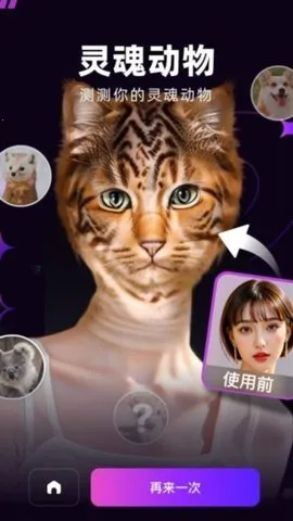 ݸ2025°汾v1.1.8 ֻ