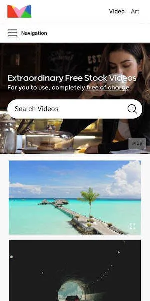 Mixkit Art2025ذװv4.9.77 ٷ