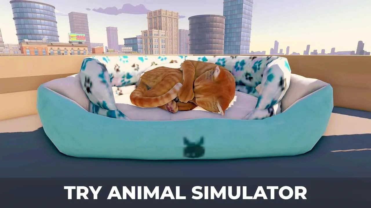 èռǴ(è䶼ðϷ)v1.1 ٷ