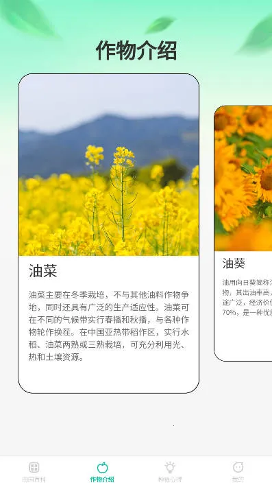 ũʱ(ũӪϷ)v1.0.0 ٷ