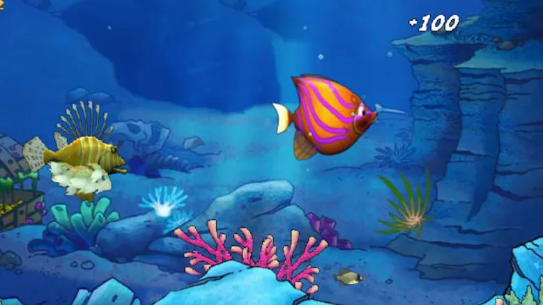 �����ģ��2025���°汾v1.0 �ֻ���