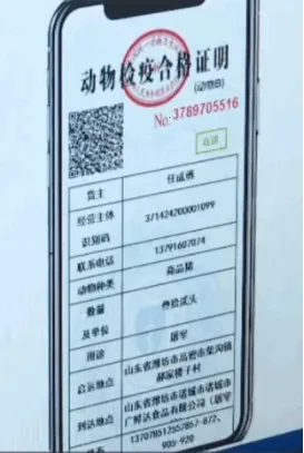 ³���ư�׿���ֻ���