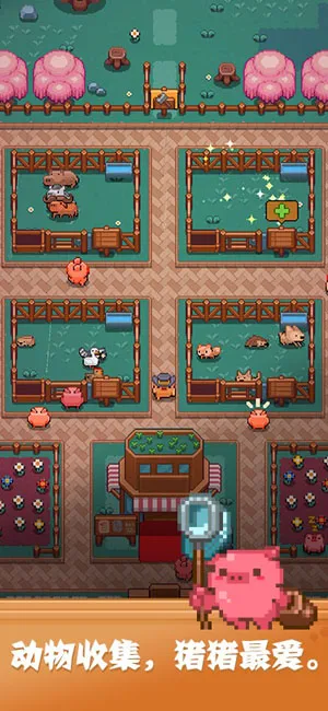 ������֮��(ð�վ�Ӫ��Ϸ)