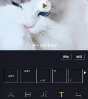 视频剪辑王(视频剪辑软件) 视频剪辑王(视频剪辑软件)