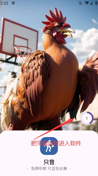 ֻ��2025���ذ�װ