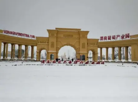 ����μ2025���°汾