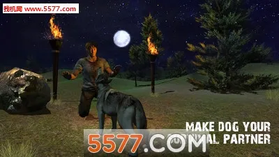 ���浺Ұ������(Ұ��������Ϸ)v1.1.0 �ֻ���