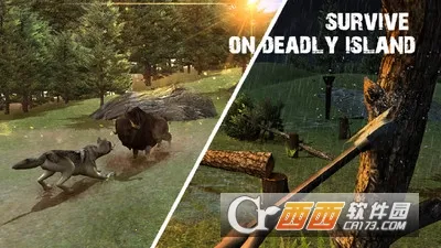 ���浺Ұ������(Ұ��������Ϸ)