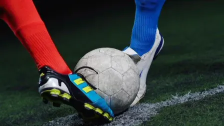 ��������2025�ٷ�����