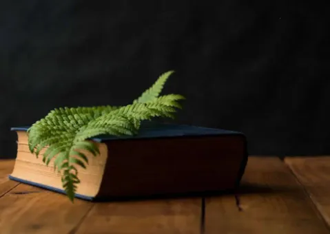 ׷��С˵2025�ٷ����°汾