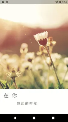 ��ʱ��2026���°汾v4.9.4 ��Ѱ�