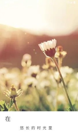 ��ʱ��2026���°汾v4.9.4 ��Ѱ�