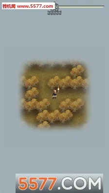 ����(����������Ϸ)v1.0.4 ��Ѱ�