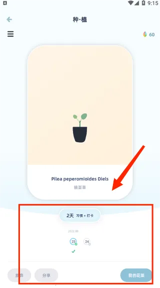 ���ʵ��2026���°汾