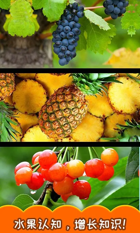 ������ˮ��2026�ٷ�����v3.571.311j ��׿��