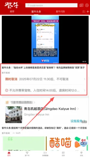 ����ͷ������2026�ٷ����°汾