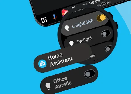 Home Assistant�����ֻ���