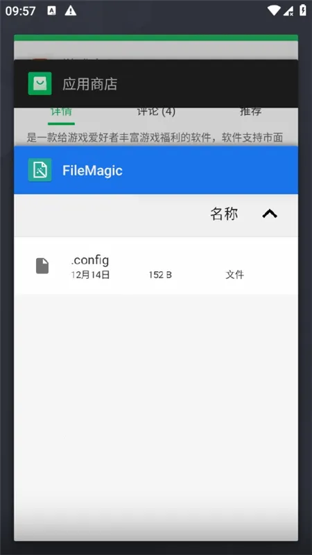 FileMagicv1.0 ��Ѱ�