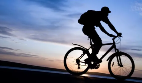 ��������2026���°汾