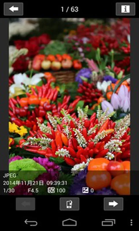 �����������2026���°汾v3.4.30.17-cn ��Ѱ�