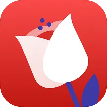 �ʻ���ѡ2026�ٷ�����v3.1 �ٷ�����