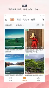 ȫ�񶯶�v2.1.63 �ٷ�����