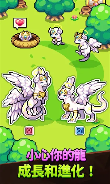 dragon village collectionv1.4.8 ��Ѱ�