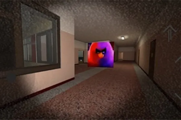 ��������