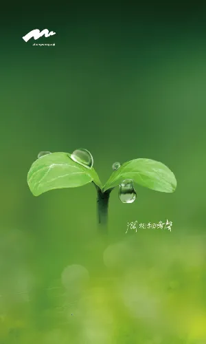 ���Ĺ���v1.8.7 �ֻ���