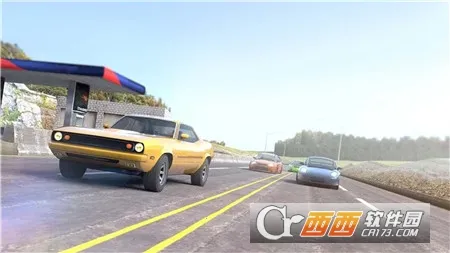 ģ����ʵ��ʻv300.1.2.3018 ��Ѱ�