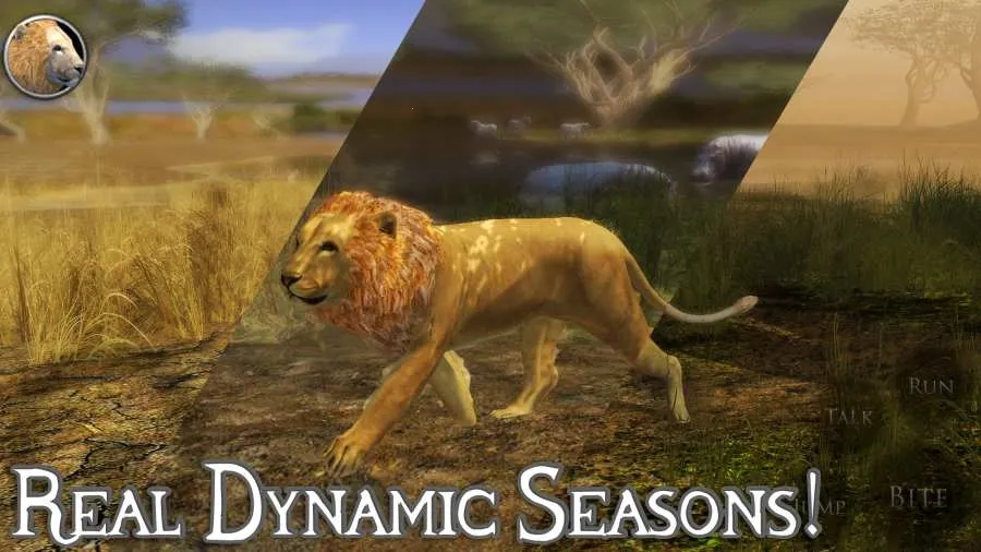 �ռ�ʨ��ģ���������ֻ���v1.0 �ֻ���