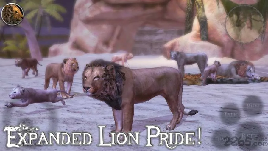 �ռ�ʨ��ģ���������ֻ���v1.0 �ֻ���