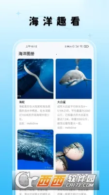 ����Ȥ�������ֻ���v1.4.64 ��׿��