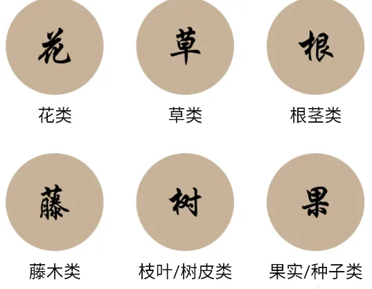 �в�ҩ����