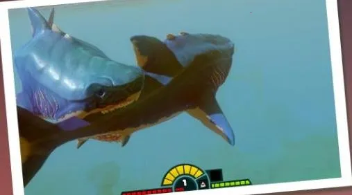 ˮ�°���2026�ٷ�����