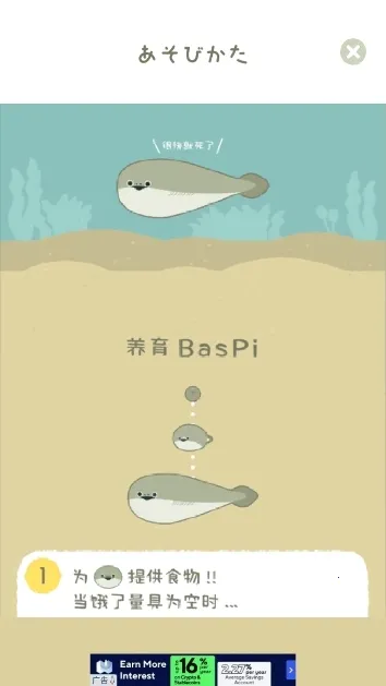 萨卡班甲鱼 萨卡班甲鱼