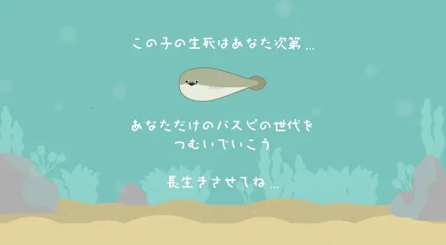 萨卡班甲鱼 萨卡班甲鱼