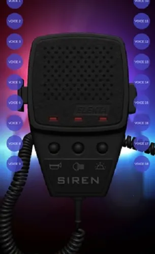 ����ģ����