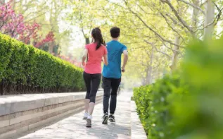 Vfit2026���ذ�װ