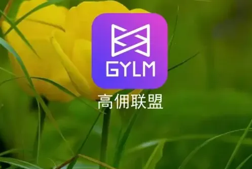 ��Ӷ���˰�׿���ֻ���