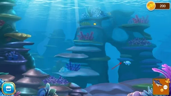 �����С������