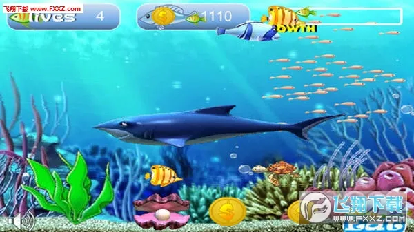 �����С�㾭�������v1.0 ��Ѱ�