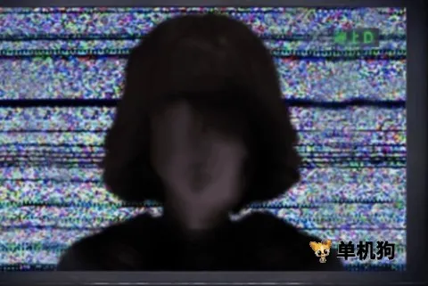 �����Ѻ͵ĺ���2026�ٷ�����